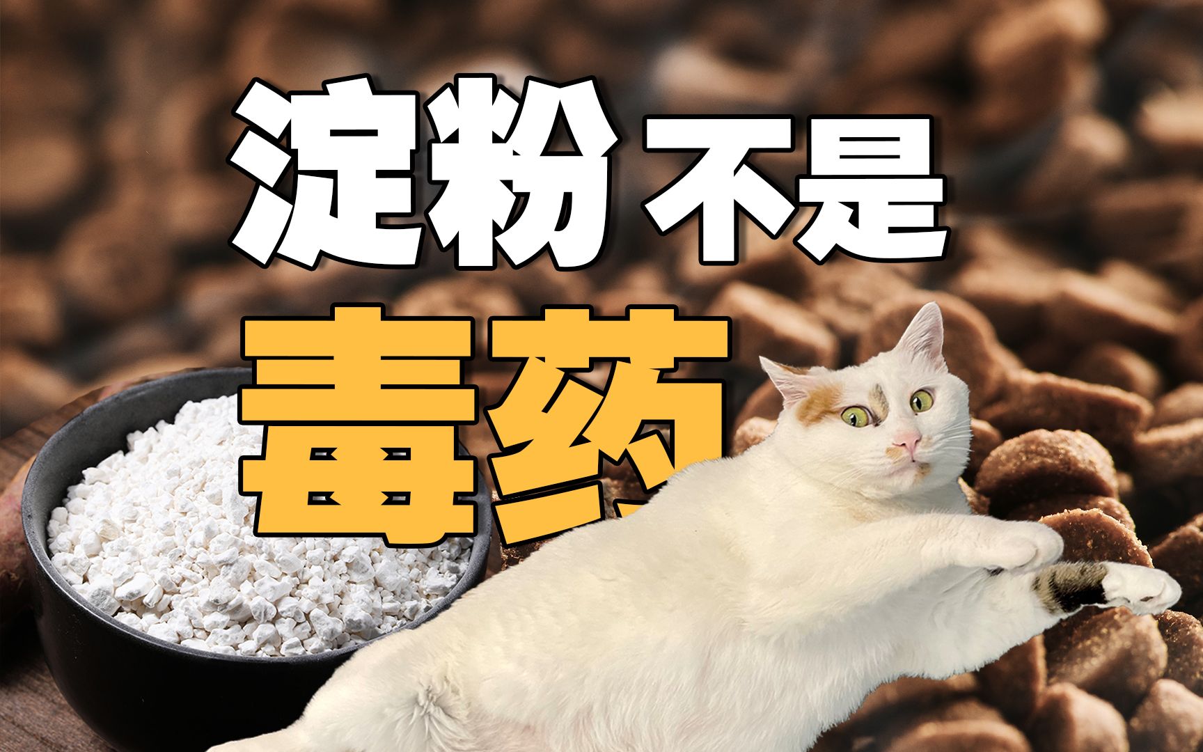 淀粉不是猫粮里的毒药，有淀粉不一定不好