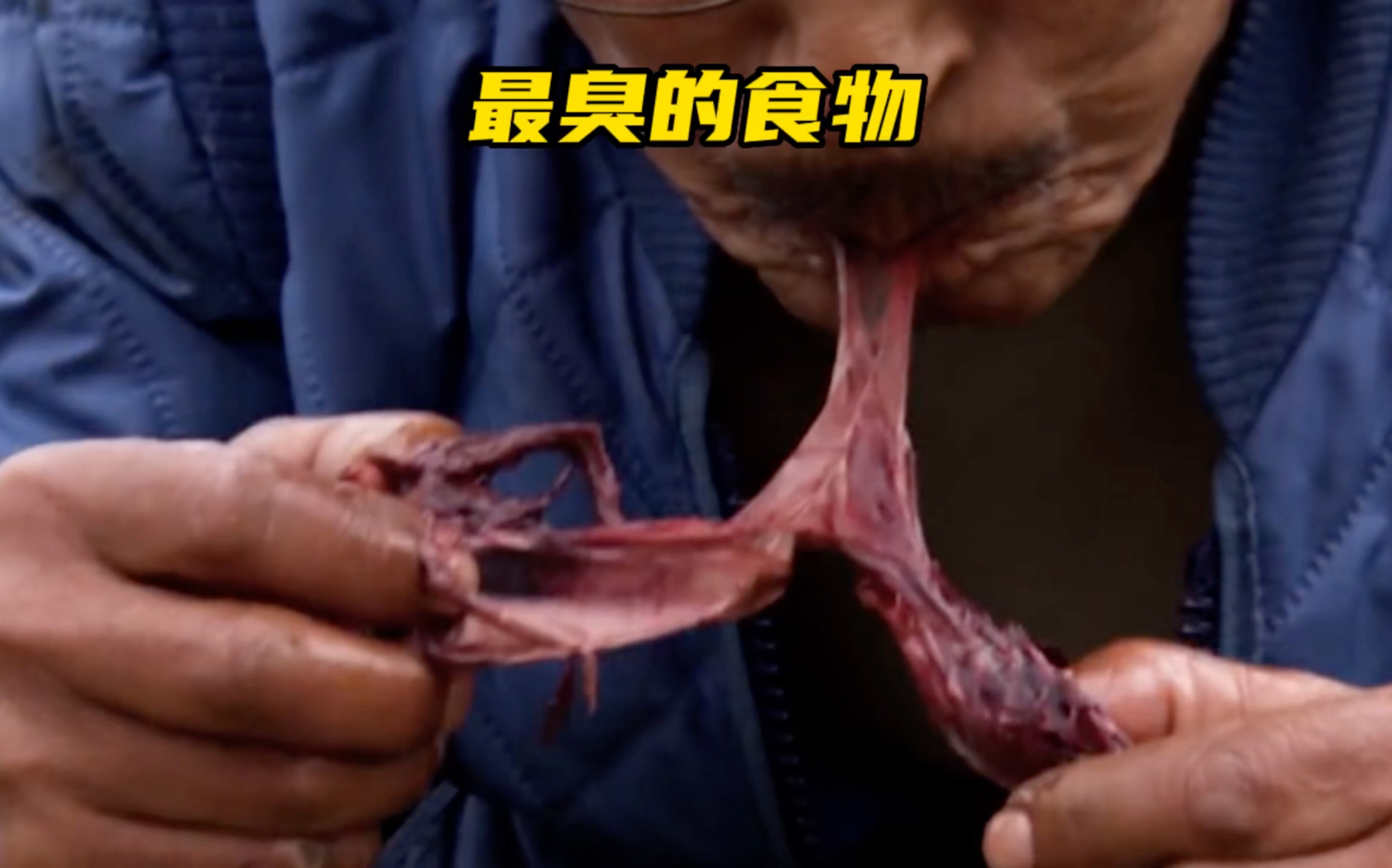 世界上最臭的食物，腌海雀，只需一口让人直穿天灵盖