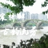 作业 | 拱宸桥 | 运河文化 | 杭城 | 博物馆