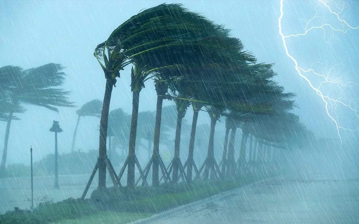 💤在可怕的飓风🌫，强风，大雨和夜间雷声中快速入睡🌨