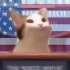 POPO猫竞选总统