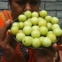 中国没看见过的水果-印度醋栗用来炒饭吃家常食谱