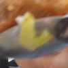 惊天大瓜