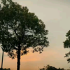 黄昏漫舞