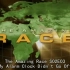 【TAR】极速前进美国版S1-S5 第一季至第五季 720P（The Amazing Race)【简中字幕】
