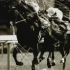 赛马娘中之马在日本赛马协会JRA宣传广告的合集