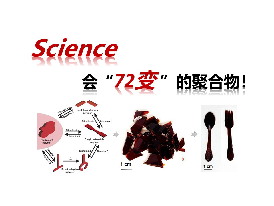 【Science】多能性聚合物（罗斌）