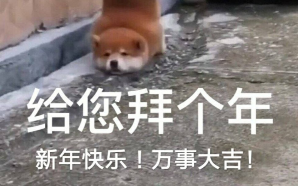 丧失斗志 哔哩哔哩 つロ干杯 Bilibili