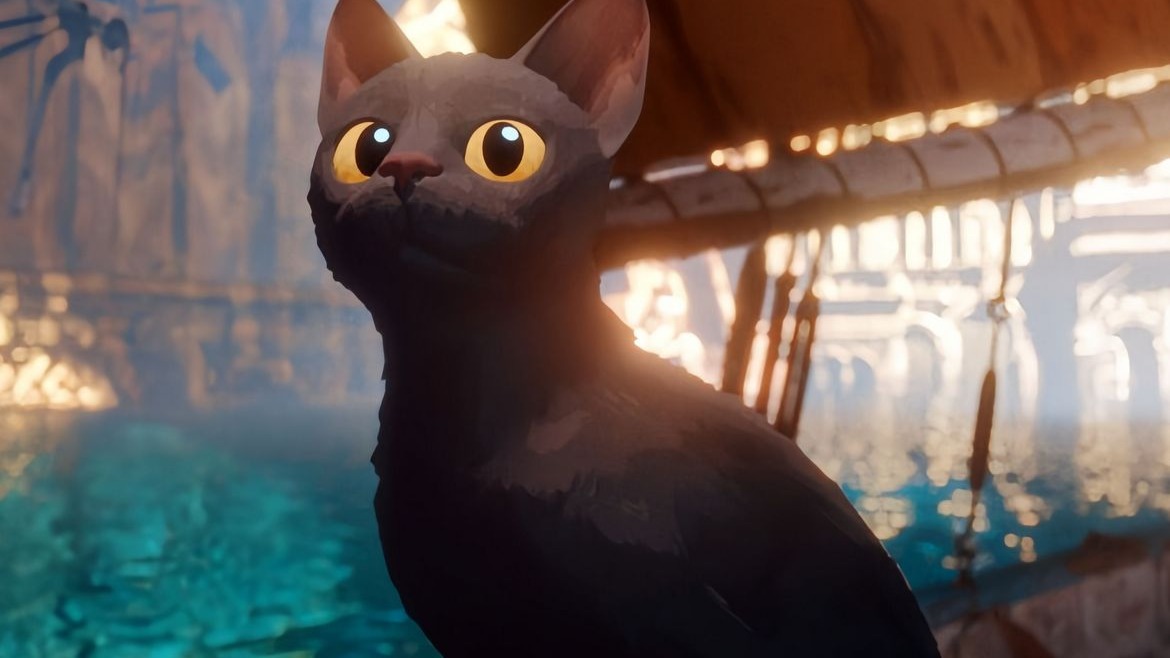 猫猫的奇幻漂流