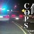 【AaronzEe转载】COPS 执法先锋 警车追逐精选 美国警察日常