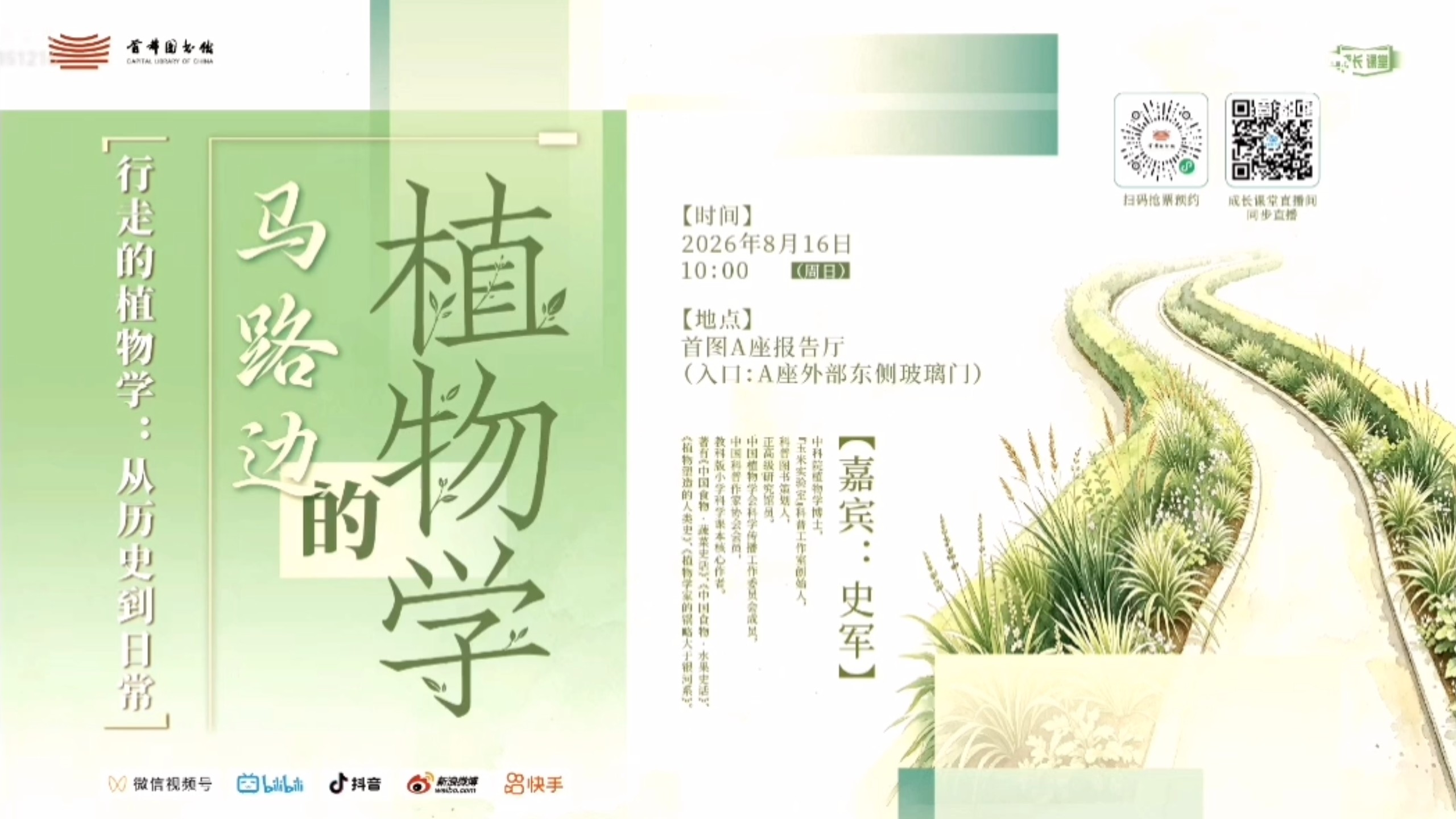 马路边的植物学