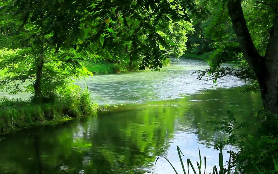 青山绿水,小溪流水声,15分钟,助眠,入睡,冥想静心