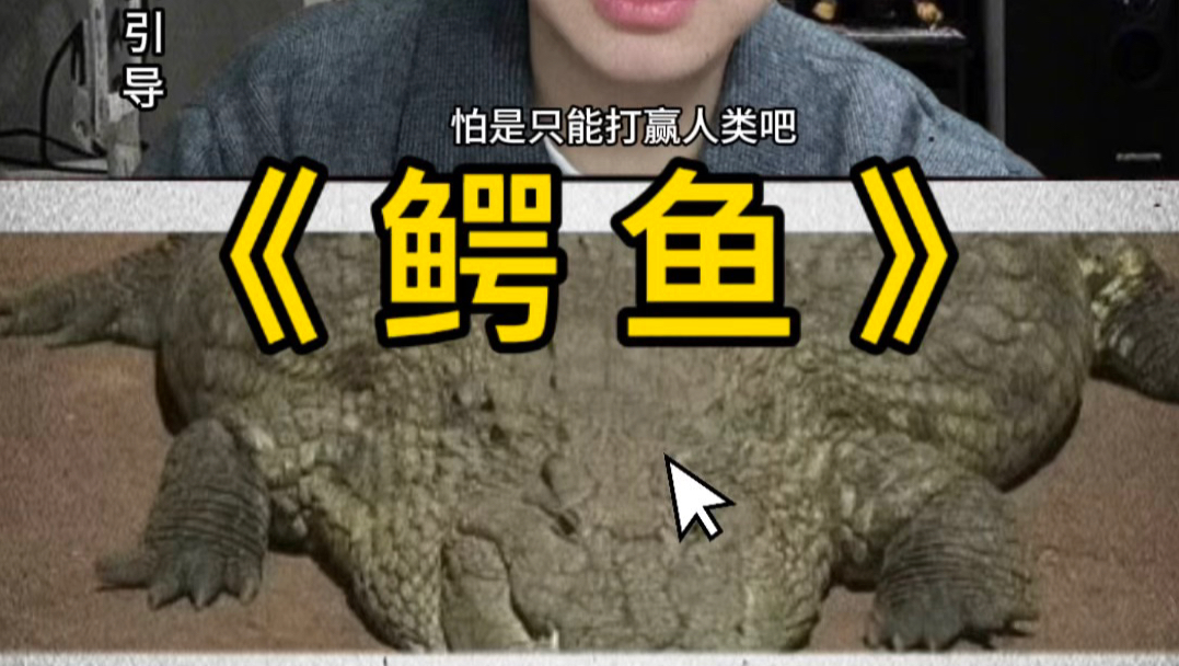 鳄鱼VS狮子 角马 蟒蛇 人类