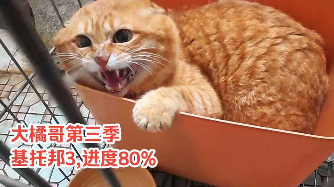 大橘哥159-第三季/基托邦3,进度80%.洗澡了
