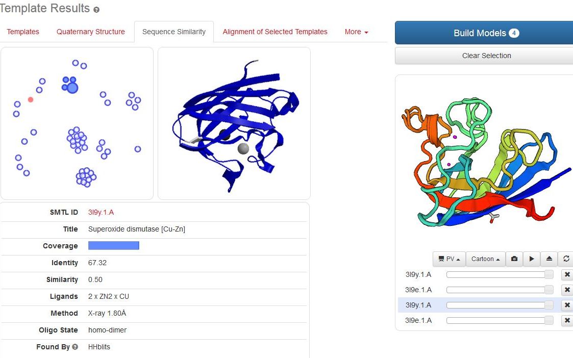 SWISSMODEL官方视频教程_哔哩哔哩_bilibili