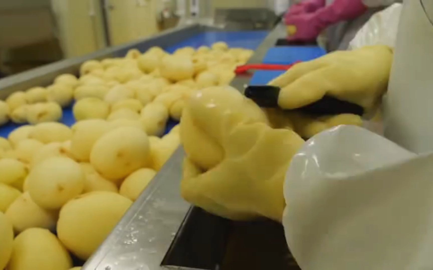 薯条工厂日常生产过程