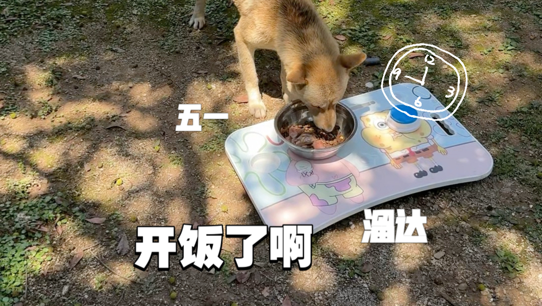 五一了，出门溜达溜达
