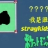 【StrayKids】我是谁？？stay能认出几个？？