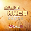 卢润泽《土坡上的狗尾巴草》原唱完整版高清MV，一首纪念爱犬的歌曲