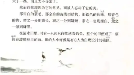 统编版小学语文五年级上册 01《白鹭》 课文录音