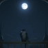 《最终幻想16》主题曲——米津玄师『月を見ていた』前瞻影像