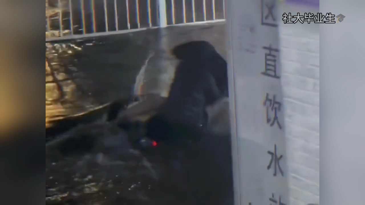 不打勤的不打懒得，专打这种不长眼的
