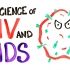 【ASAPScience】HIV-艾滋病背后的科学 @柚子木字幕组