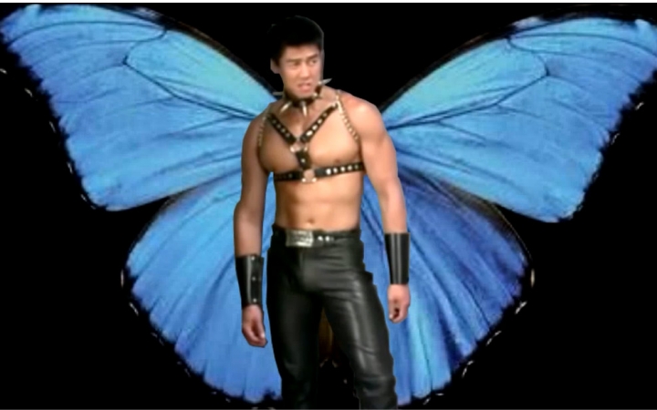 哲学】兄贵压一压(butterfly)_哔哩哔哩(゜-゜)つ