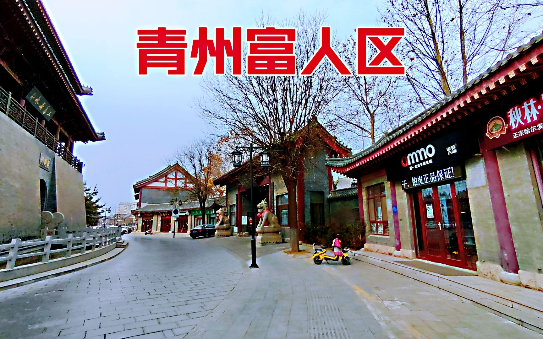 实拍山东青州富人区，一套别墅将近1000万，带你去看看！