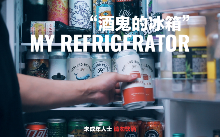 专业酒鬼的冰箱就要装不下了｜求好冰箱推荐！
