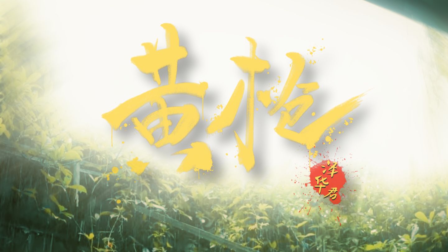 《黄枪》 今日，我们向黄腔亮剑！