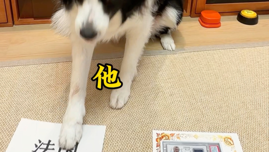 热死你个狗东西！
