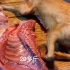 中国最好吃的狗肉在广西，玉林脆皮狗肉皮脆金黄，男女老少都爱吃