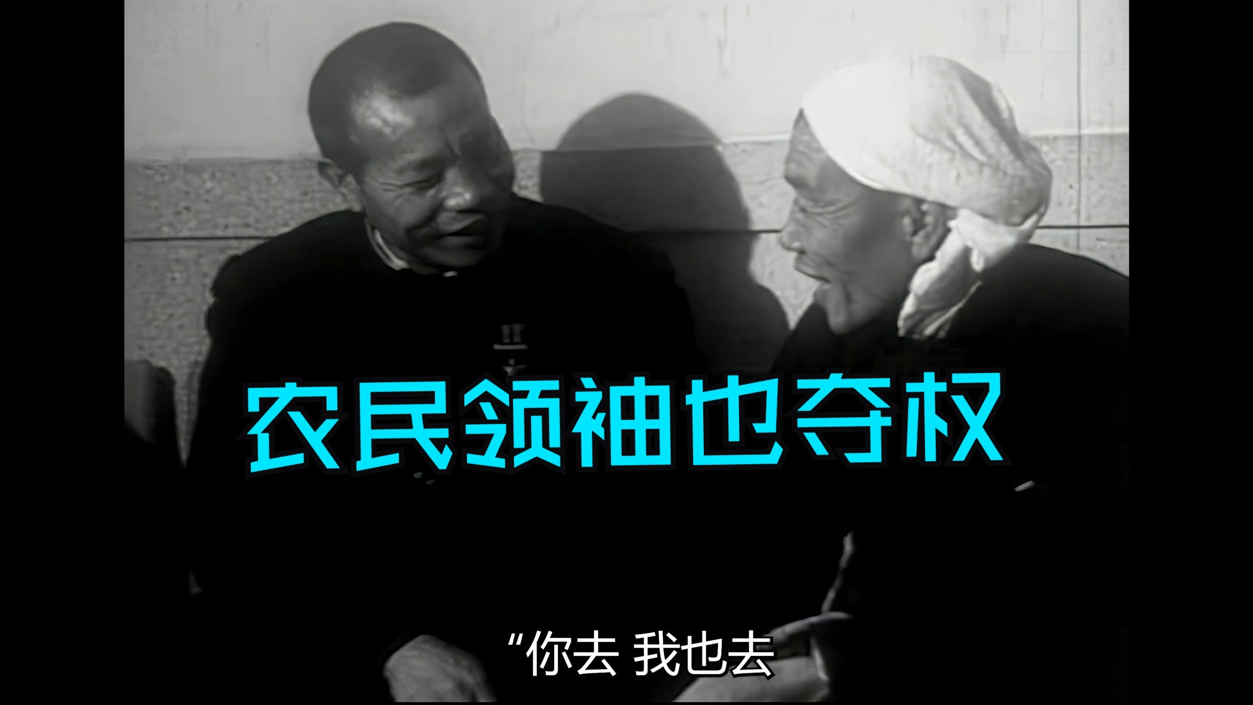 23 一个农民的文革夺权