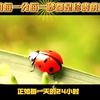 生命的每一分每一秒都是珍贵的礼物