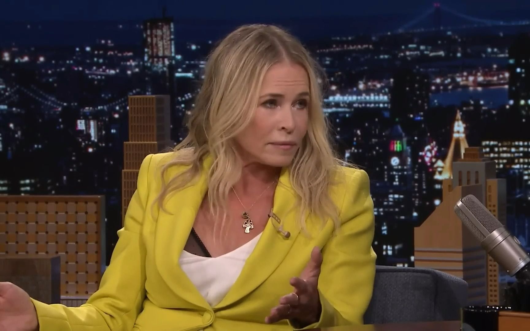 Chelsea Handler Thinks She Should Host The Daily Show
