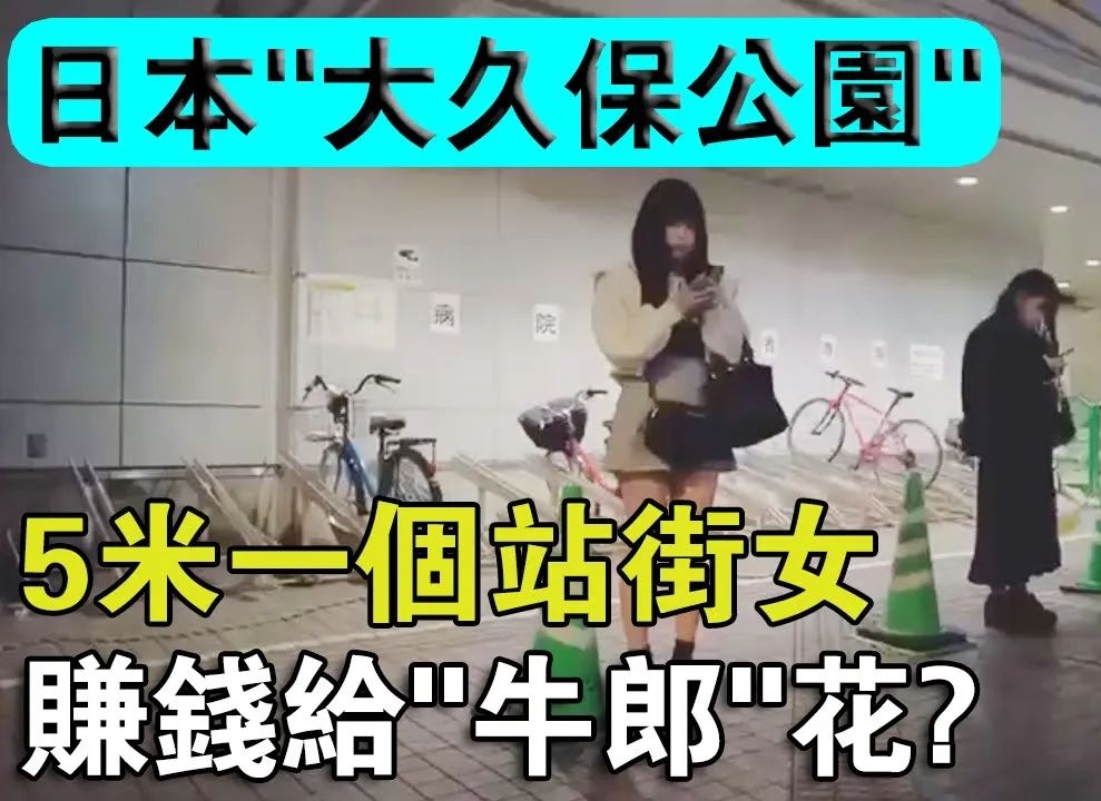 日本最大男人天堂“大久保公園”，5米一個站街女任你挑選，賺來的錢全給“牛郎”花？