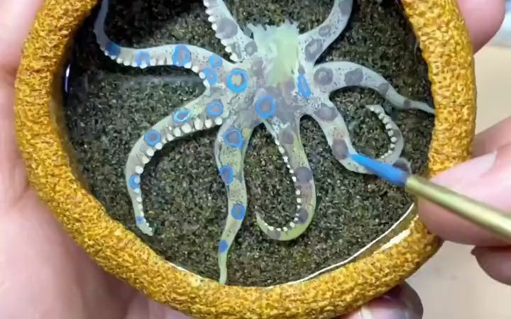我的蓝环章鱼没有毒。