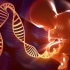 基因编辑技术一直在发展，为何第一个基因编辑婴儿出生被谴责？