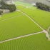 农业生产：日本茶园绿茶种植、采摘、加工过程