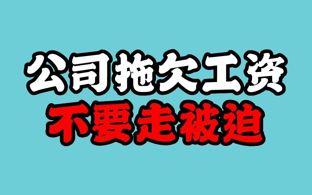 公司拖欠工资不要走被迫离职哔哩哔哩bilibili