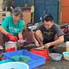 40岁男星下河捕鱼，陪70岁母亲街头摆摊卖鱼，自嘲无大富大贵的命