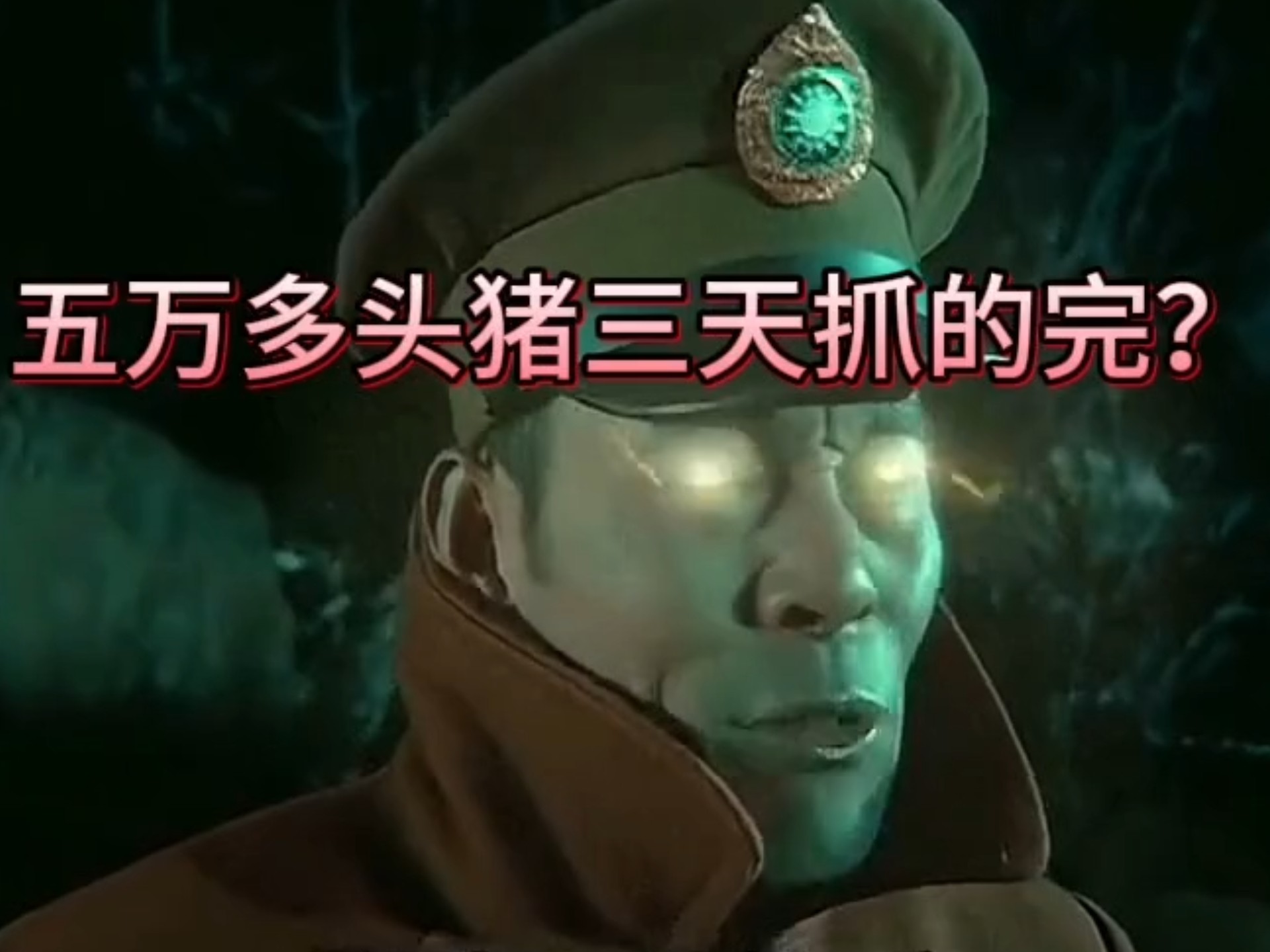 楚云飞：就是五万多头猪三天也抓不完