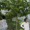 生态农场的土地里都有什么