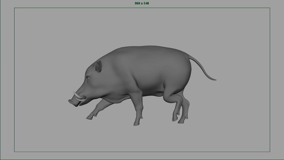 野猪走路动画练习参考