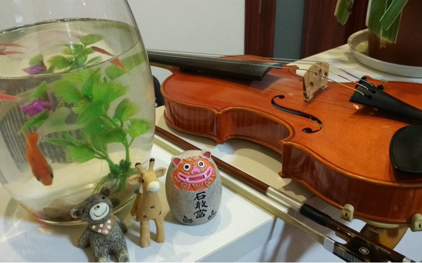 【双小提琴+钢琴】悬崖上的金鱼姬主题曲视频