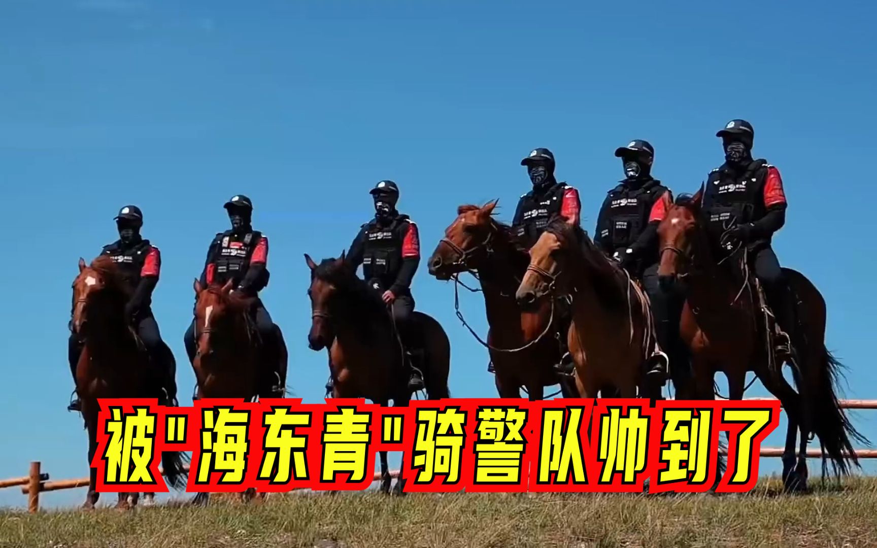 太酷啦！内蒙古“海东青”骑警队，骑马巡逻辖区治安，气场超强