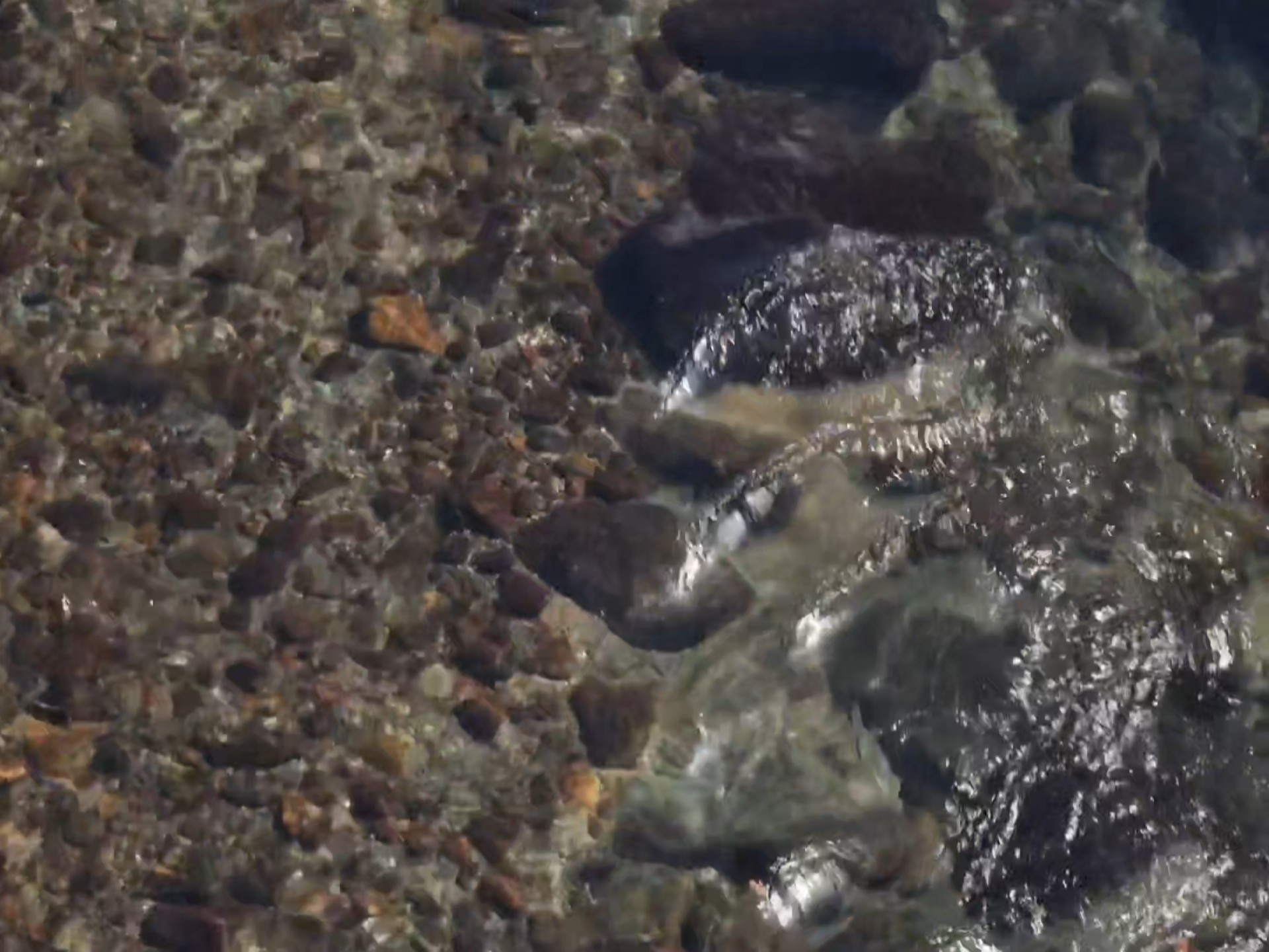 It's dark, it's light, and 30 days have passed.