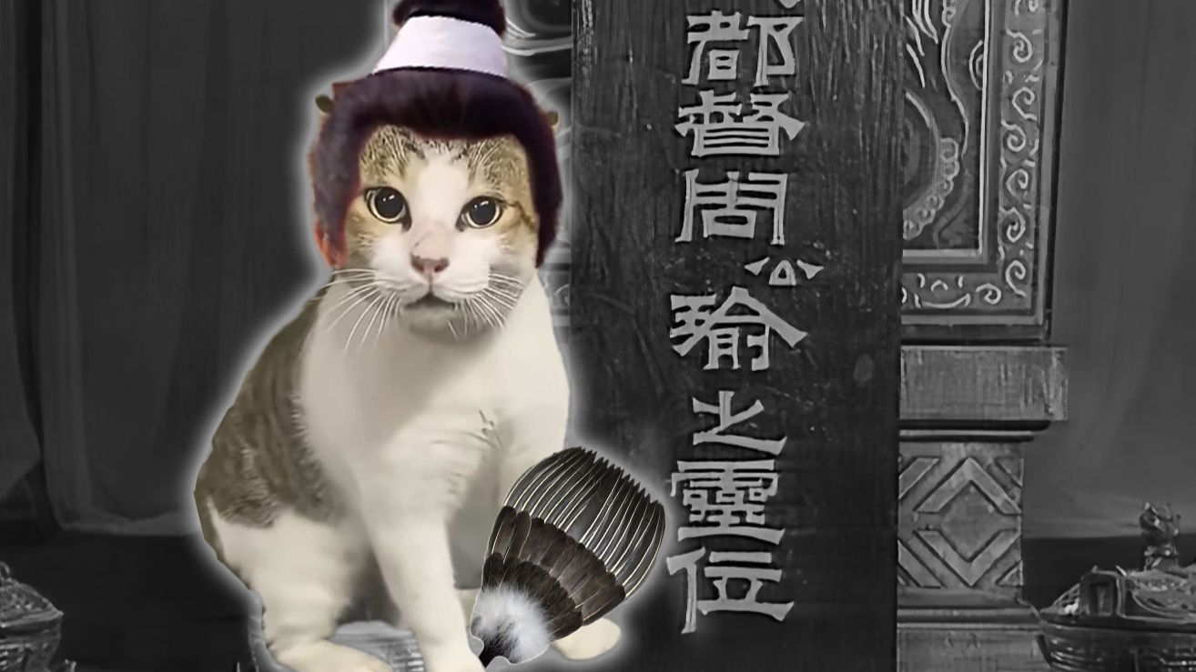 卧龙吊孝，但是老吴，