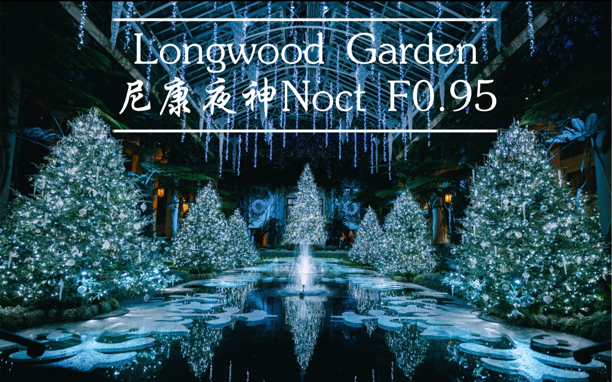 【4K】尼康夜神该去的地方 Noct 58mm F0.95 / Longwood Garden灯光展